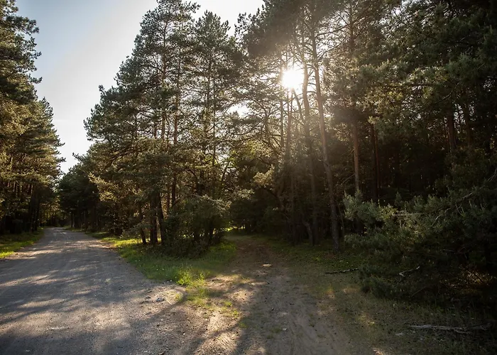 Jurajski Kryształ 4* Zaborze (Zarki)